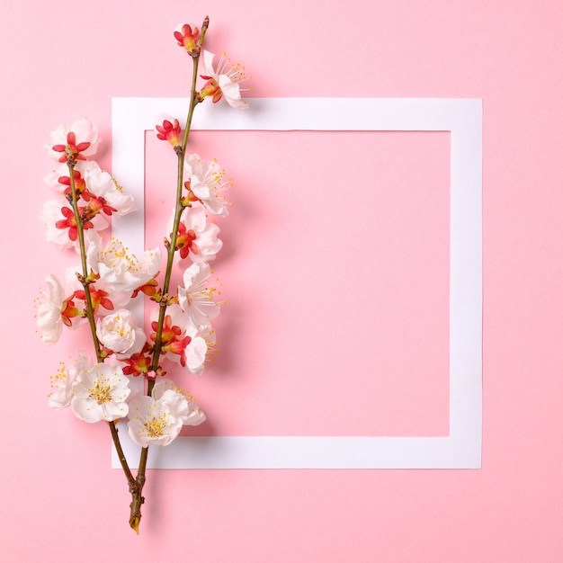 Flat lay frame with blossom sakura branches, leaves and petals