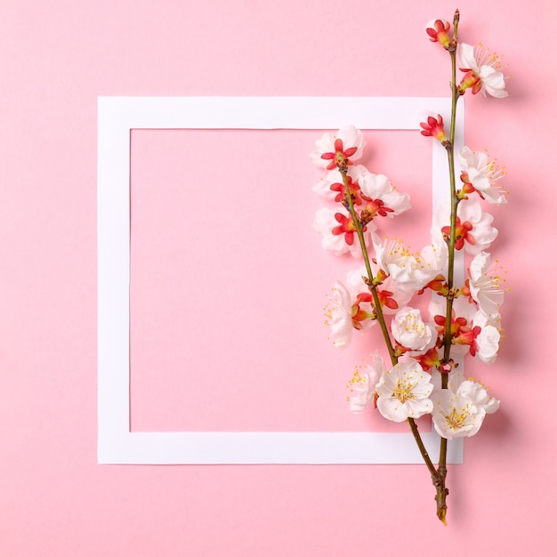 Flat lay frame with blossom sakura branches, leaves and petals