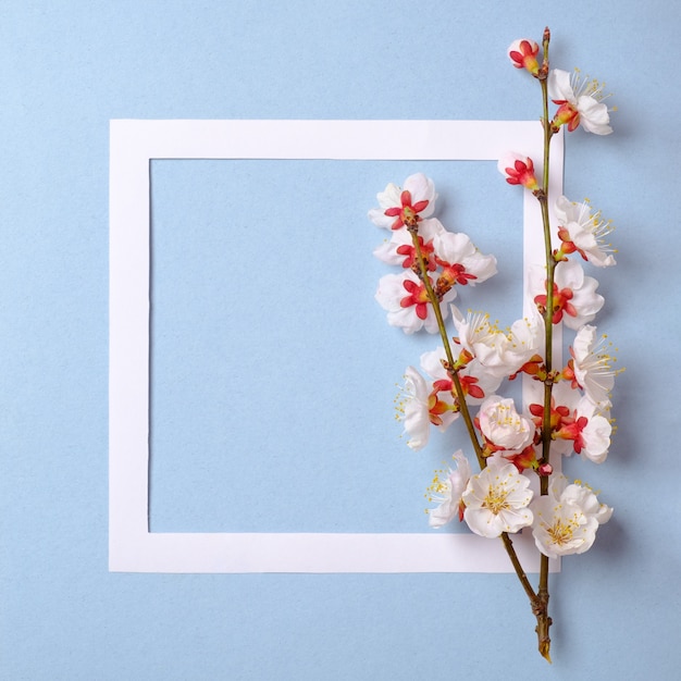 Flat lay frame with blossom sakura branches, leaves and petals