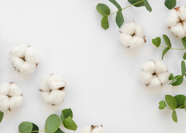 Flat lay frame with cotton flowers and leaves