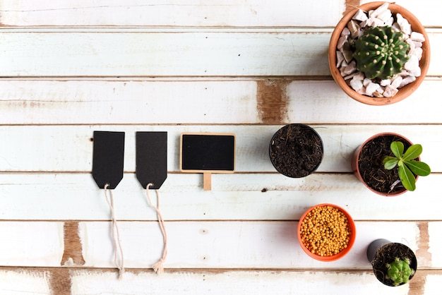 Flat lay gardening desk with Cactus plants in pot and black paper label on vintage wood table,top view