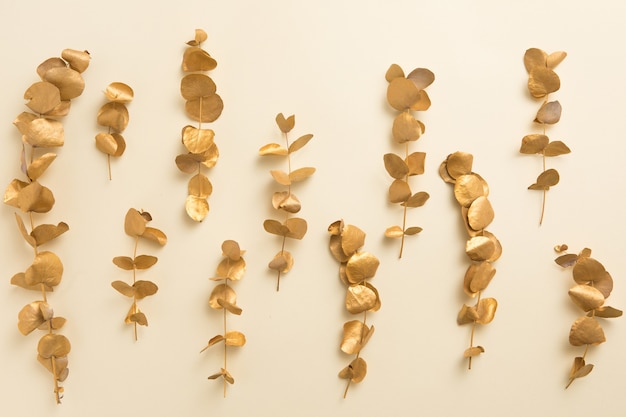 Flat lay of gold leaves eucalyptus populus on beige yellow background. Top view layout