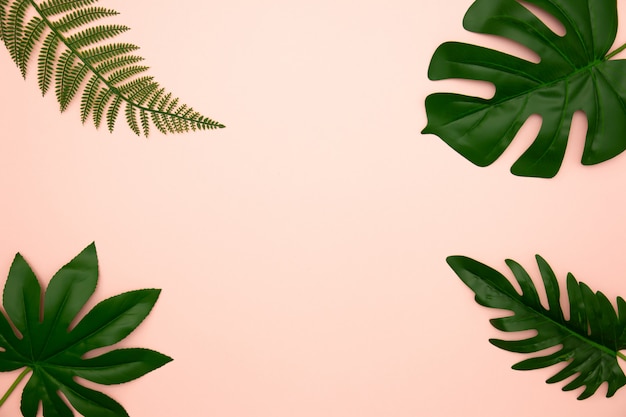 Flat lay of green tropical leaves on old rose background with copy space.