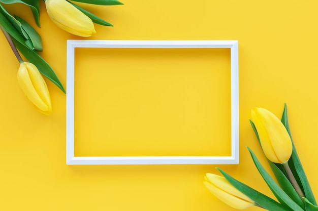 Flat lay greeting card with space for text Photo frame and yellow tulip flowers on a yellow background Spring holidays concept