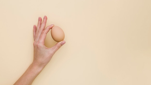 Flat lay of hand holding easter egg with copy space