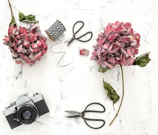 Flat lay hortensia flowers vintage scissors camera