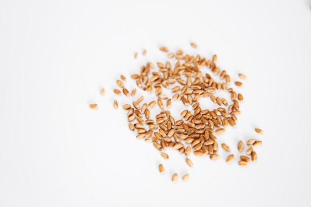 Flat lay microgreen seeds on white background