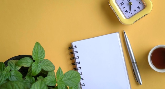 Flat lay of notepad clock coffee and plant on yellow tabletop