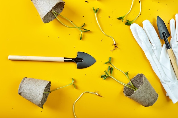 Photo flat lay peat pots gardening tools and greens on yellow background