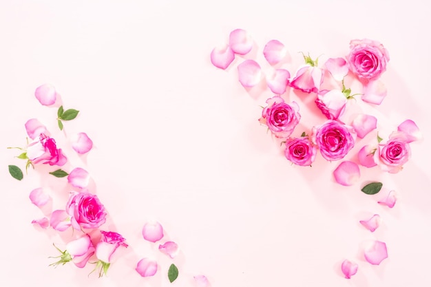 Flat lay. Pink roses and rose petals on a pink background.