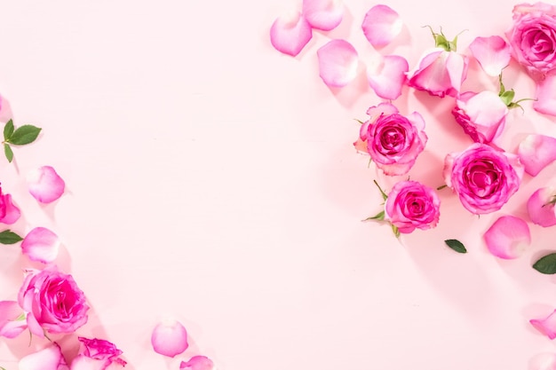 Flat lay Pink roses and rose petals on a pink background