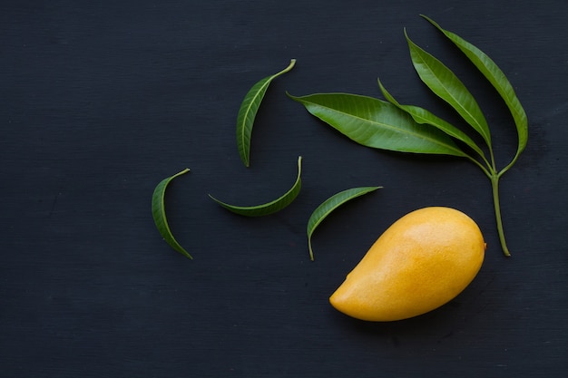 Flat lay of Ripe mango fruit with leaf on black background