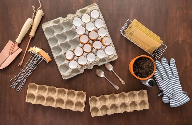 Flat lay. Starting seeds in eggshells for Spring planting.