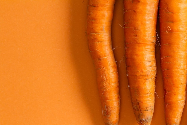 Flat lay top view composition with bio carrots on orange background copy