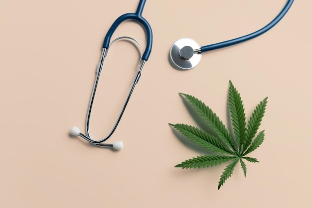 Flat lay top view image of legalized green hemp leaf next to a stethoscope