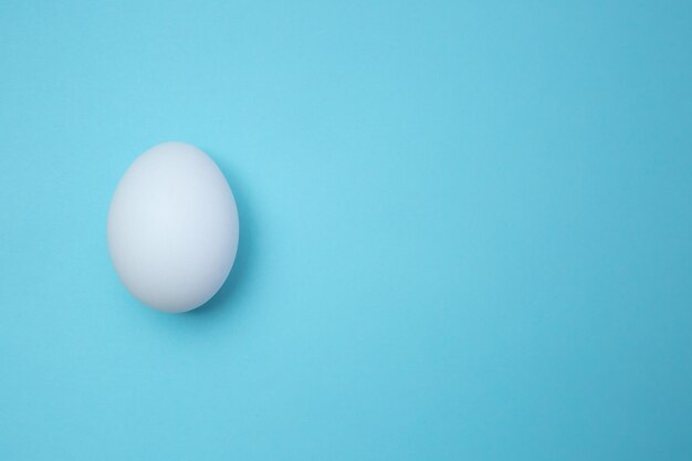 Flat lay of an uncooked egg lying on a blue background. Website banner