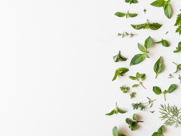 Flat-lay of various fresh green kitchen herbs