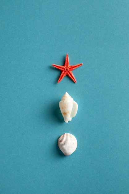 flat lay with starfish and shells on blue