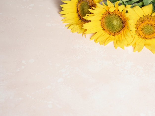 Flat lay of yellow sunflowers