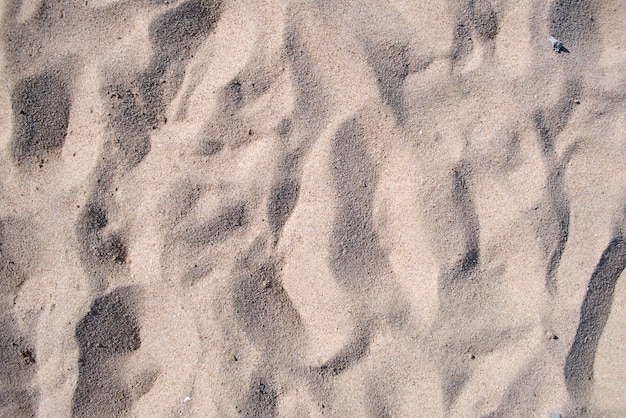 Flat view of clean yellow sand surface covering seaside beach Sandy texture