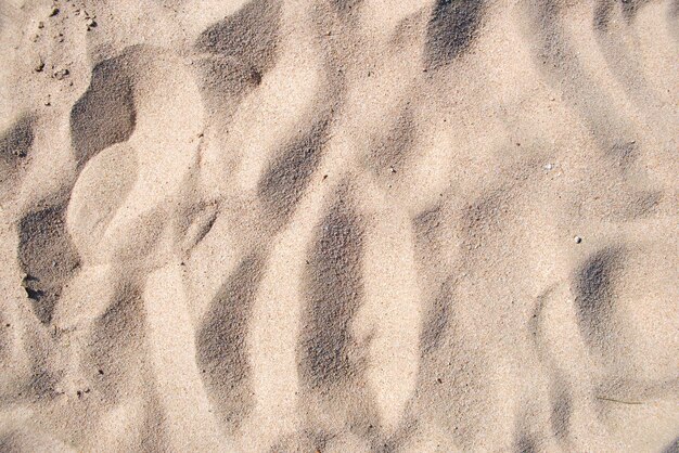 Flat view of clean yellow sand surface covering seaside beach Sandy texture