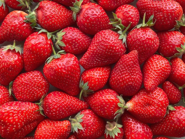 Flatlay from a large number of strawberries. Natural background.