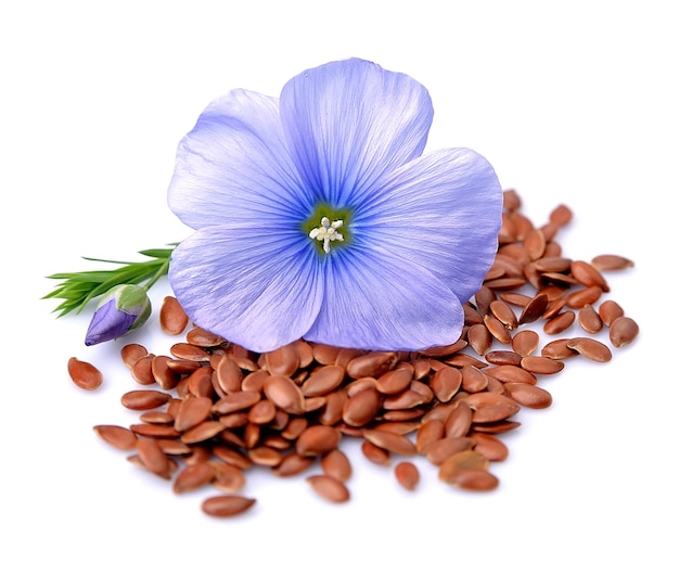 Flax seeds with flowers on white