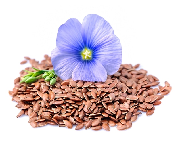 Flax seeds with flowers on white