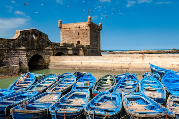 A fleet of blue fishing boats huddled together in the port of Essaouira in Morocco