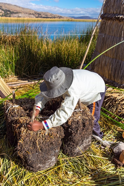 Floating Islands on Lake Titicaca Puno Peru South America thatched home Dense root that plants Khili interweave form natural layer about one to two meters thick that support islands