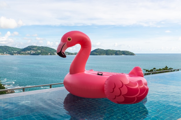 Floating pink plastic bird in resort swimming pool