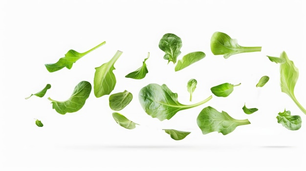 Floating Salad Leaves