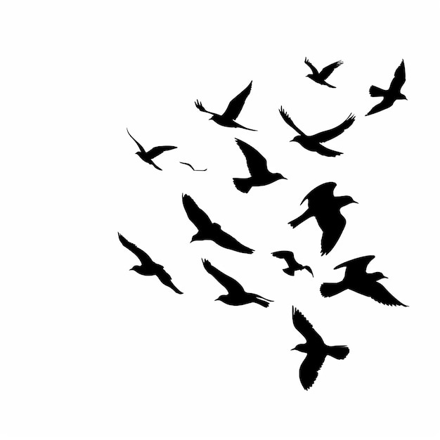 a flock of birds flying in a circle with the words quot birds quot on the bottom