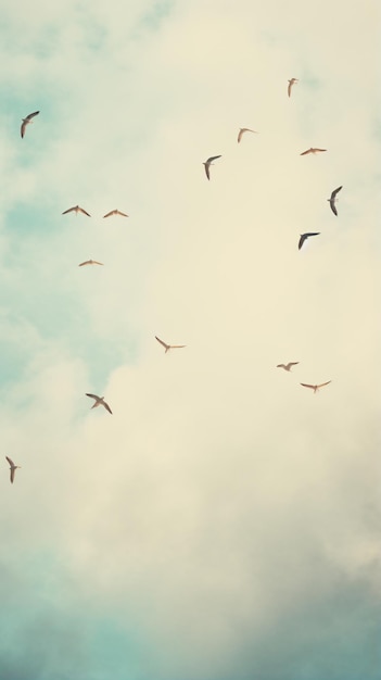 a flock of birds flying in the sky