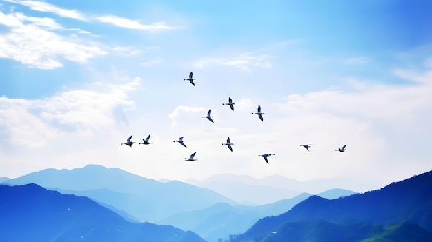 A flock of birds flying in the sky