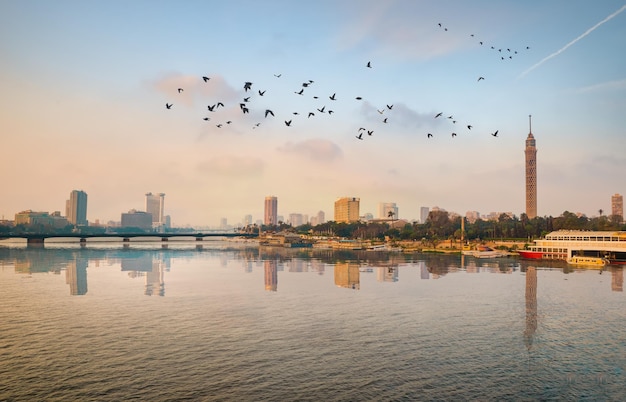 Flock of birds over river Nile