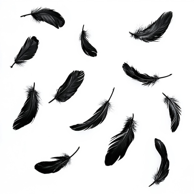 a flock of black birds flying in the air