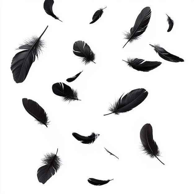 a flock of black feathers is flying in the air