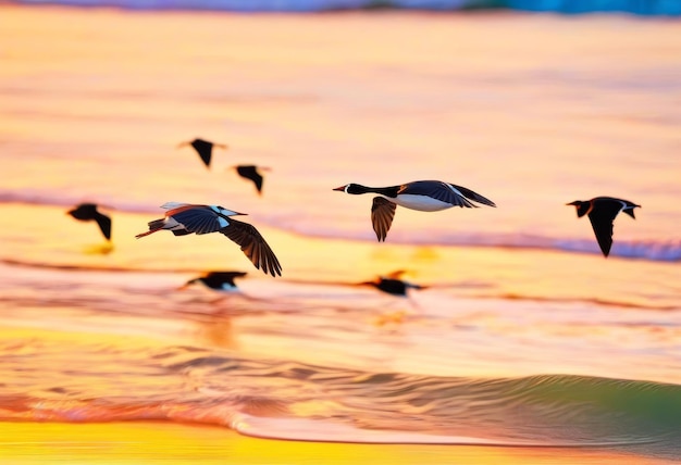 A flock of seagulls flying over the ocean at sunset