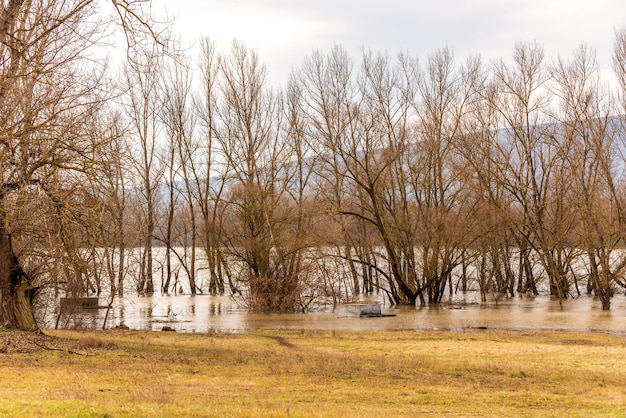 Flood on the Danube river in spring