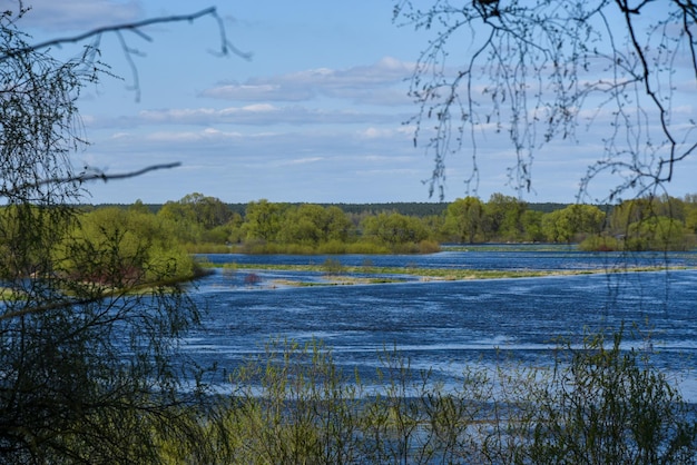 A flooded river in the spring after the snow melts