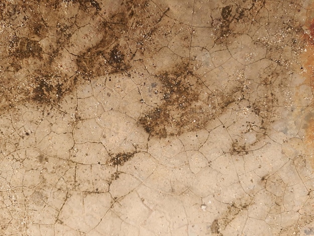 Floor texture of stone background