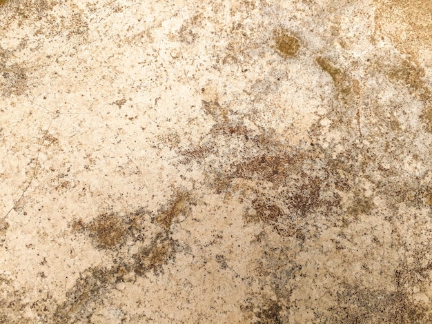 Floor texture of stone background