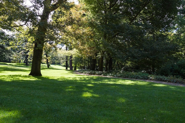 flora, beautiful park with leafy trees