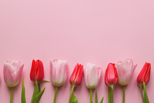 Floral arrangement on a pink background