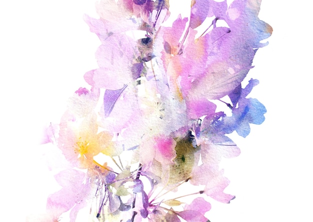 Floral background Watercolor abstract flowers wall paper Wellcome banner design