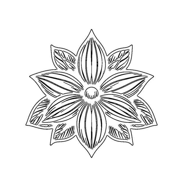 floral coloring page