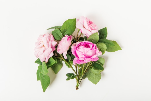 Floral composition with pink roses on white