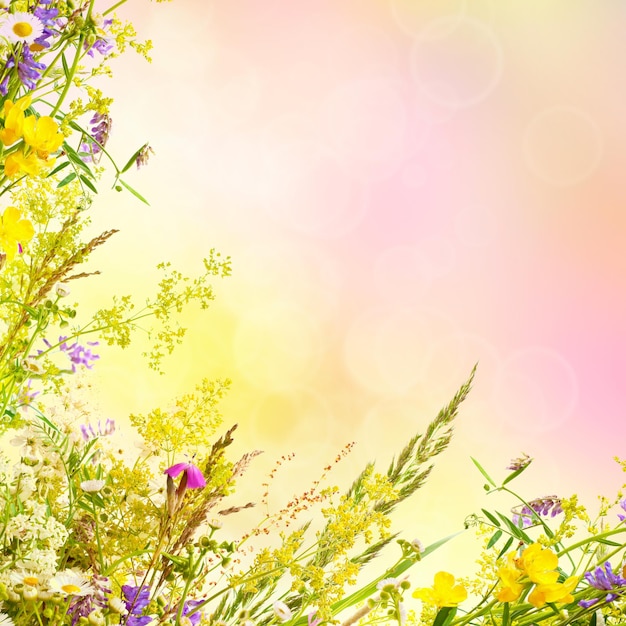 Floral easter background