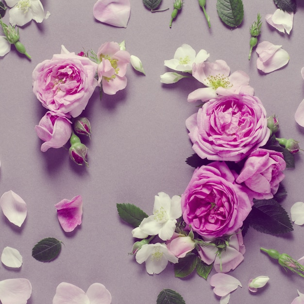 Floral frame. Rose flowers on a grey background. Flat lay